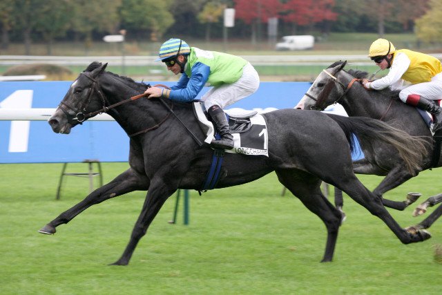 Prince d'Aliénor en compétition